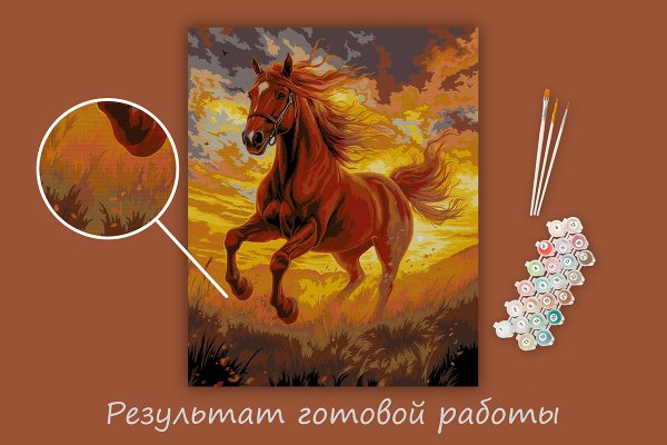 Набор для раскрашивания по номерам (холст на подрамнике) ФРЕЯ 50 х 40 см "Конь в лучах солнца" PNB/PL-326