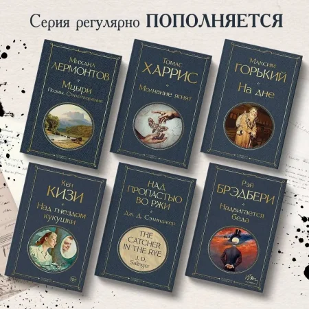 Книга: Над пропастью во ржи EKS-221027