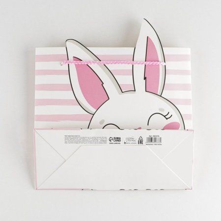 Пакет подарочный "Best day" 25 x 26 x 10 см SIM-3822376