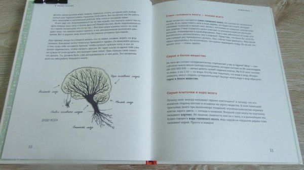 Книга: В моей голове. Как устроен мозг и зачем он нам нужен MIF-462736