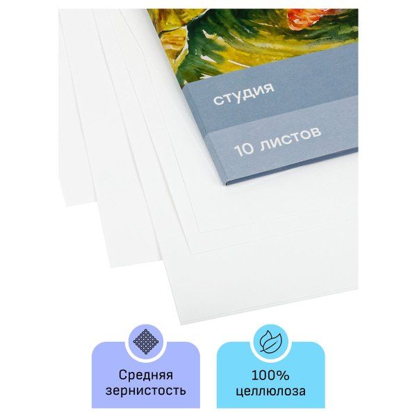 Папка для акварели ГАММА "Студия" 200 г/м2 А3 10л. среднее зерно RE-30C03F710W