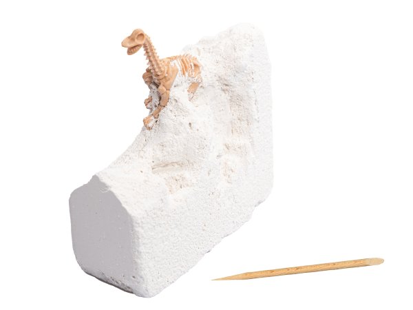 Научно-познавательный набор "Раскопки: Большой набор юного палеонтолога" 5 динозавров KOR-05088