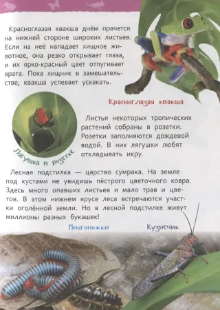 Книга: Джунгли (Энциклопедия для детского сада) ROS-35067