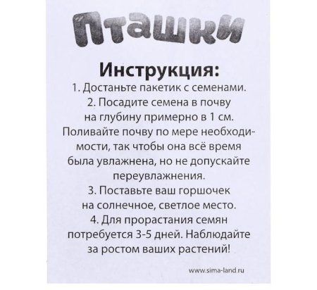 Набор для опытов ЭВРИКИ "Пташки, выращиваем травку" фиолетовая SL-04639 SIM-5155390