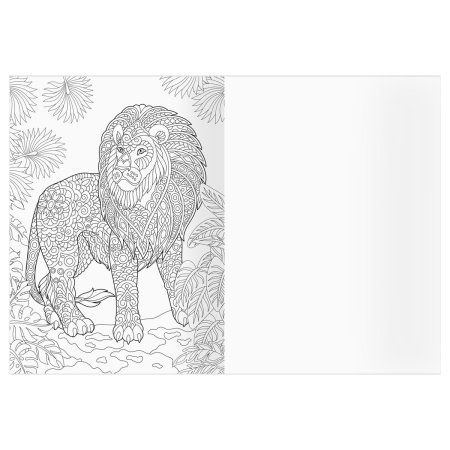 Раскраска А4 ТРИ СОВЫ "Антистресс. Удивительные животные" 16 стр. RE-PА4_58094