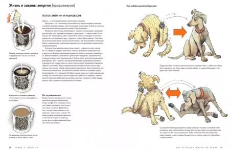 Книга: Как устроена жизнь на Земле MIF-469377
