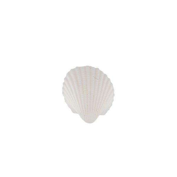 Ракушки декоративные ZLATKA / Blumentag 100 г ± 5 г Clam Rose DRF-031