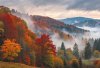 Пазл 1500 элементов ФРЕЯ "Осенний туман в Шварцвальде" PZL-1500/48