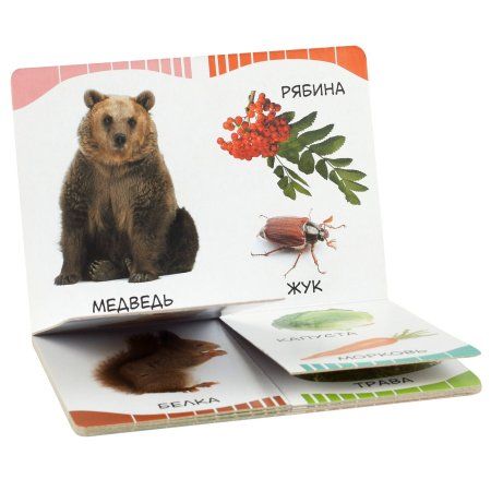 Книга: Кто что ест (Первые слова) ROS-32512