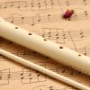 Музыкальный инструмент Блокфлейта Music Life 8 отверстий, немецкая система, сопрано SIM-4417173 Музыкальный инструмент Блокфлейта Music Life 8 отверстий, немецкая система, сопрано SIM-4417173