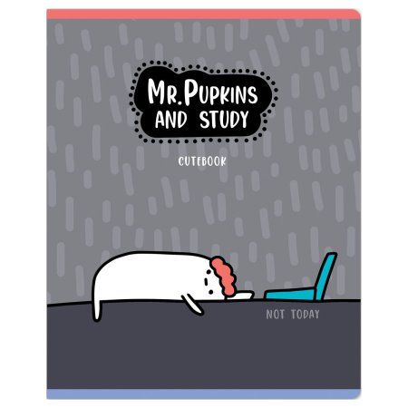Тетрадь 48л. A5 клетка MESHU "Mr. Pupkins" выб. лак, ТВИН-лак RE-MS_49782