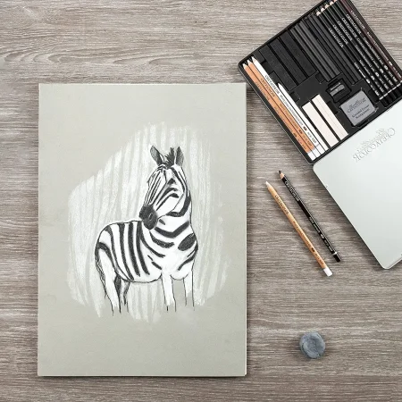 Набор для рисунков и эскизов CRETACOLOR Black&White Box 25 предметов, мет.пенал CR40026