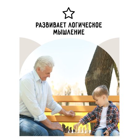 Шашки ТРИ СОВЫ деревянные с деревянной доской 29 x 29 см RE-НИ_46629