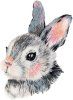 Набор для вышивания PANNA Живая картина. Зайчонок JK-2277