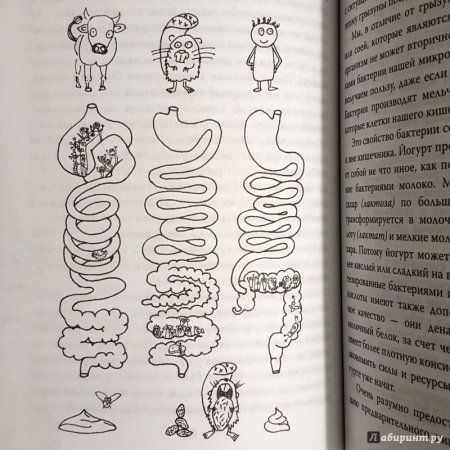 Книга: Очаровательный кишечник. Как самый могущественный орган управляет нами EKS-813513