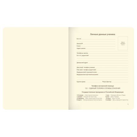 Дневник 1-11 кл. 48л. MESHU "My imagination" (твердый) иск. кожа, нашивка с наполнением, УФ-печать, тисн. фольгой, тон. блок, ляссе RE-MS_49374