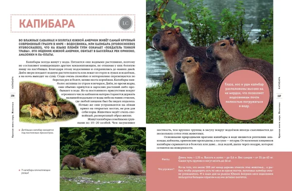 Книга: Красная книга мира. Животные EKS-798963