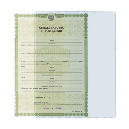 Обложка-карман для документов и свидетельств ДПС A4, 305 x 222 мм, ПВХ, прозрачная RE-2834.300