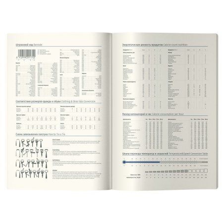 Ежедневник недатированный A5 136л. Berlingo "Futureal" кожзам, золотой срез, с рисунком RE-UD2_01S12