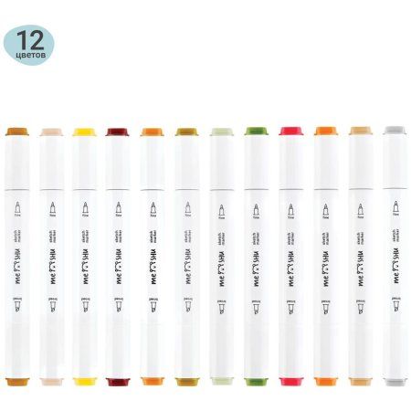 Набор маркеров для скетчинга MESHU 12 цв цвета леса RE-MS_38260