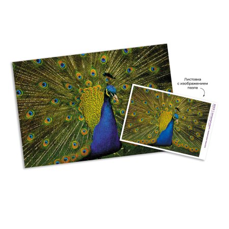 Пазл 500 элементов ФРЕЯ "Роскошный павлин" PZL-500/75
