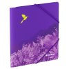 Папка для тетрадей на резинке A5+ Berlingo "Flower Art" 600 мкм, с рисунком RE-FB5_A5S20