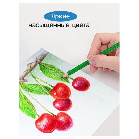 Карандаши цветные ГАММА "Классические" 24 цв заточенные, карт. упаковка, европодвес RE-050918_04_04 Карандаши цветные ГАММА "Классические" 24 цв заточенные, карт. упаковка, европодвес RE-050918_04_04