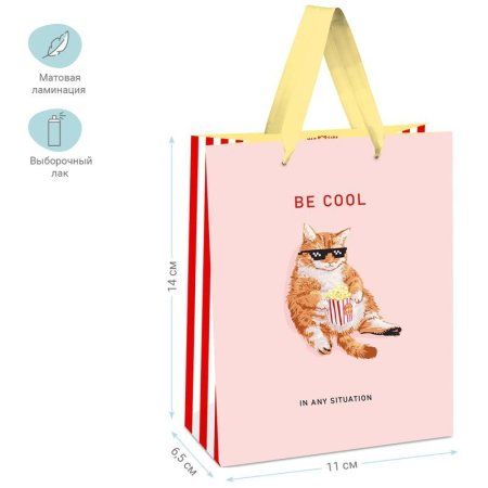 Пакет подарочный 11 x 14 x 6.5 см MESHU "Be cool" выб. лак, матовая ламинация RE-MS_45682