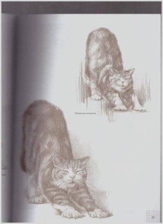 Книга Э: Кошки: Рисуем по сеткам 978-5-04-097529-7