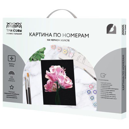 Картина по номерам на черном холсте ТРИ СОВЫ "Розовые цветы" 30 x 40 см, краски и кисть RE-КХп_48141