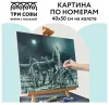 Картина по номерам на холсте ТРИ СОВЫ "Ночная охота" 40 x 50 см с акриловыми красками и кистями RE-КХ_44164