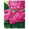 Картина по номерам на холсте ТРИ СОВЫ "Пионы" 40 x 50 см, краски, кисть RE-КХ4050_53935