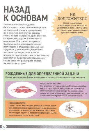 Книга: Как устроено твое тело ROS-38817