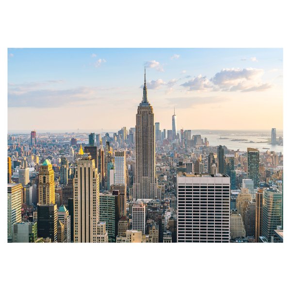 Пазл 1000 элементов ФРЕЯ "Премиальная коллекция. Высотки Нью-Йорка" TOP-PZL-1000/10