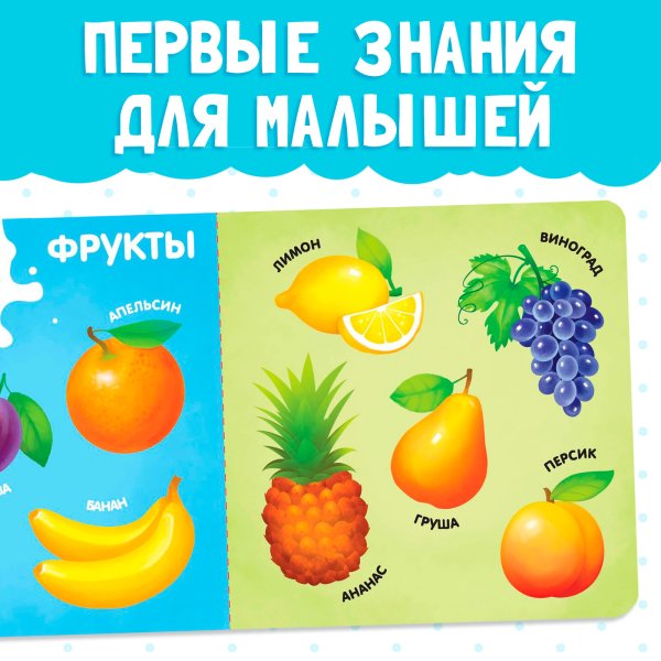 Книга развивающая "Фрукты, овощи и не только" SIM-4021442