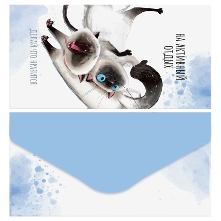 Конверт для денег MESHU "Cute kittens" 85 x 164 мм, матовая ламинация, 5 дизайнов RE-MS_65061