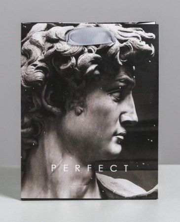 Пакет ламинированный вертикальный "Perfect" S 12 x 15 x 5.5 см 4725236