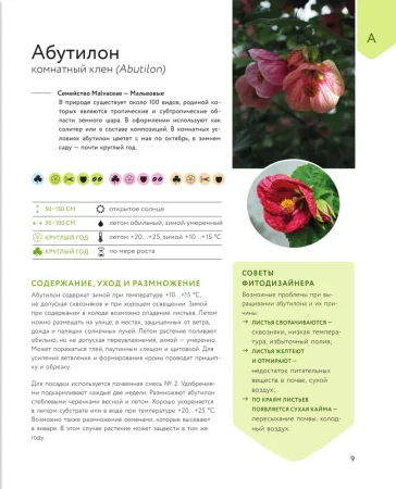 Книга: Зеленый оазис. Комнатные растения от А до Я EKS-987863