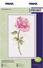 Набор для вышивания PANNA Акварельная роза 18.5 х 28.5 см C-7190