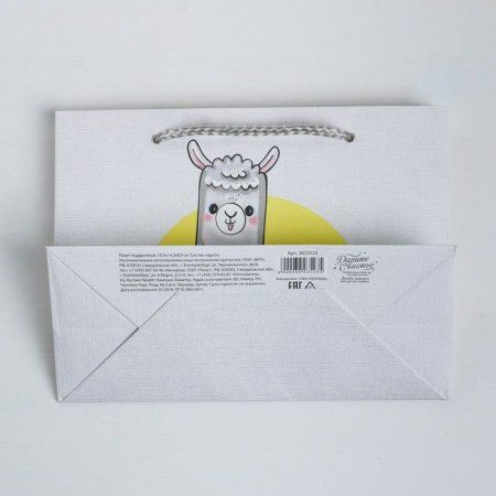 Пакет подарочный "Веселье" 19.5 x 14.5 x 8.5 см SIM-3823523