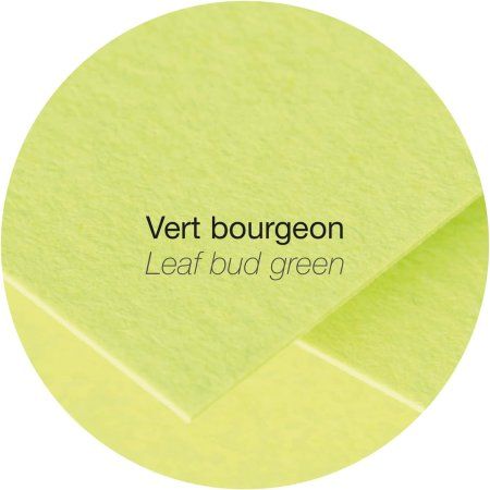 Конверт CLAIREFONTAINE Pollen C6 114 x 162 мм 120 г/м2 1 шт, зеленый лист RH-55476C