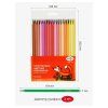 Карандаши цветные пластиковые ГАММА "Мультики" 36 цв заточенные, ПВХ, европодвес RE-251220214