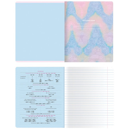 Тетрадь предметная 48л. MESHU "Candy color" - Русский язык, "софт-тач" ламинация, тиснение фольгой RE-MS_42543