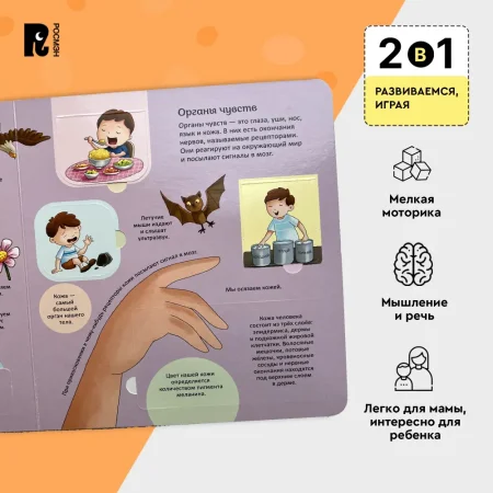 Книга: Тело человека. Энциклопедия с окошками ROS-41699