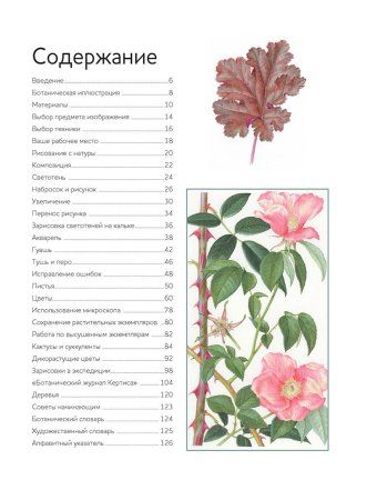 Книга КР: Ботаническая иллюстрация: руководство по рисованию 978-5-91906-809-9 9990549