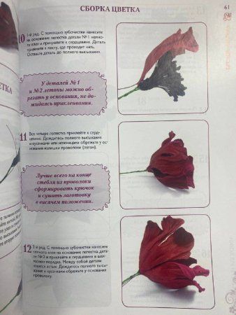 Книга КР: Цветы из кожи. Пошаговые мастер-классы 978-5-91906-608-8 9990520