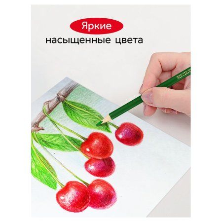 Карандаши цветные ГАММА "Мультики" 12 цв трехгранные, заточенные, карт. упаковка, европодвес RE-290122_12