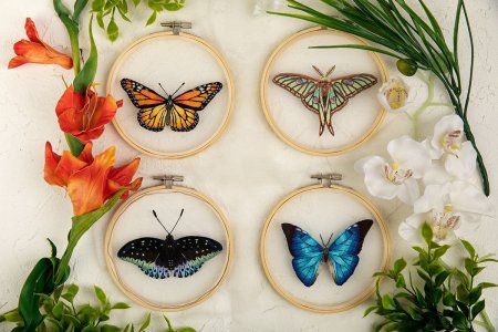 Набор для вышивания PANNA Живая картина. Бабочка. Морфо адонис 13 х 13 см JK-2235