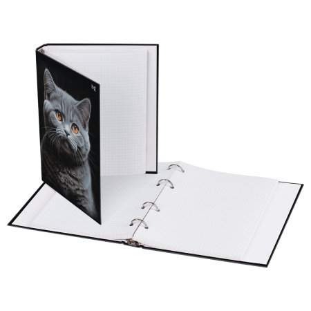 Тетрадь на кольцах 160л. A5 BG "Кот" глянцевая ламинация RE-ТТ5к160_лг_62925