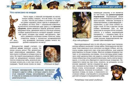 Книга: Собаки (ДЭР) ROS-17089 Книга: Собаки (ДЭР) ROS-17089